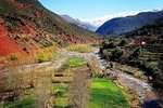Half-Day Atlas Mountains Tour From Marrakech