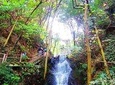 Half-Day Hangzhou Nine Creeks Hiking Tour with Tea Plantation Experience