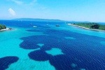 Half day relaxing private boat tour (Blue lagoon and Solta) from Trogir