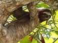 Exotic Landscapes of Costa Rica