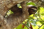 Exotic Landscapes of Costa Rica