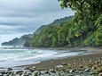 Corcovado National Park One Day Tour From San Jose