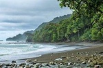 Corcovado National Park One Day Tour From San Jose