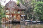 4 Days Cuyabeno Dolphin Lodge