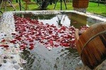 Nanjing Private Tour: Qixia Temple, Australopithecus Cave, Tangshan Hot Spring