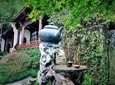 Half-Day Hangzhou Tea Culture and Hupao Spring Private Tour