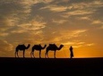 Private Tour 10 Days from Casablanca to Imperial Cities And Sahara Desert
