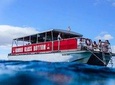 Afternoon Waikiki Glass Bottom Boat Cruise