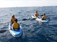 Guided Kayak Tour and Paella Lunch at the Beach in Valencia