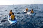 Guided Kayak Tour and Paella Lunch at the Beach in Valencia