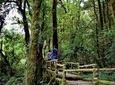 One Day Inthanon National Park (Private Tour)
