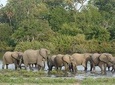 3 Days Selous Escape from the usual, Short Tanzania Safaris.