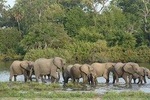 3 Days Selous Escape from the usual, Short Tanzania Safaris.