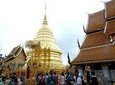 One Day Tour Doi Suthep Temple, Palad Temple, Orchid Farm, Longneck hill tribe village (Private tour)