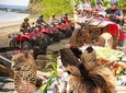 BEACH-MOUNTAIN & SLOTH REFUGE ATV TOUR