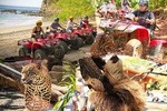 BEACH-MOUNTAIN & SLOTH REFUGE ATV TOUR
