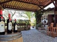 Private Organic Wine & Provence Food Tasting Tour
