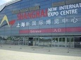 Private Airport Transfer from or to Shanghai New International Expo Centre