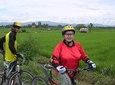 Rice Field Visions