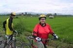 Rice Field Visions