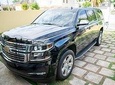 VIP Transfer Punta Cana Airport to Punta Cana & Bavaro Hotels (Not Uvero Alto)