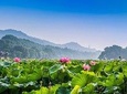 Hangzhou Private Customized Day Trip from Shanghai by Bullet Train