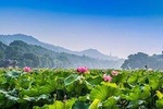 Hangzhou Private Customized Day Trip from Shanghai by Bullet Train
