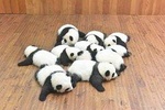 Private One Day Chengdu Panda Tour and Chengdu City visiting