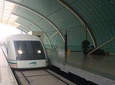 Shanghai Airport Layover Tour with Maglev Train