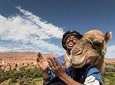 Desert Express 2-days tour from Marrakech to Merzouga Dunes