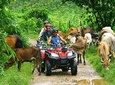 Phuket ATV Bike Tour