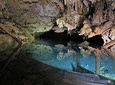 CENOTES AND CAVES TOUR (Private) 