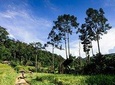 Rural Explorer Mountain Biking Tour Chiang Mai