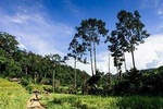 Rural Explorer Mountain Biking Tour Chiang Mai
