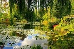 Authentic Giverny full day Trip including lunch