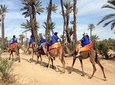 Quad Biking Tour & Camel Ride in Palm Grove Marrakech