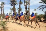 Quad Biking Tour & Camel Ride in Palm Grove Marrakech