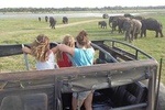 Kaudulla Park Private Jeep Safari from Sigiriya