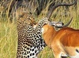 5-Day Lake Naivasha, Lake Nakuru and Masai Mara Family Safari