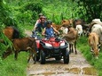 Half-Day Adventure: 4x4 ATV, Water Cave and Dominican Culture At Punta Cana
