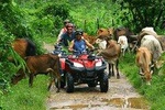 Half-Day Adventure: 4x4 ATV, Water Cave and Dominican Culture At Punta Cana