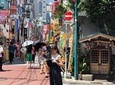 Introduction to Tokyo & Highlights Private Walking Tour with a Local