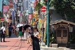 Introduction to Tokyo & Highlights Private Walking Tour with a Local