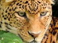 11Day Best of Kenya and Tanzania Group Camping Safari