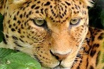 11Day Best of Kenya and Tanzania Group Camping Safari