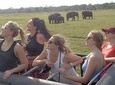 Kaudulla Park Safari Private Jeep only from Habarana
