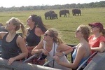 Kaudulla Park Safari Private Jeep only from Habarana
