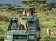 Private 3 Days Masai Mara Wildlife Luxury Jeep Safari
