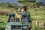 Private 3 Days Masai Mara Wildlife Luxury Jeep Safari
