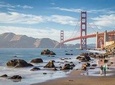 San Francisco City Insider's Tour